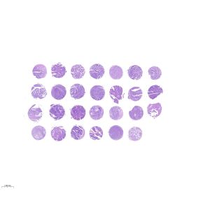 CRC027-01A